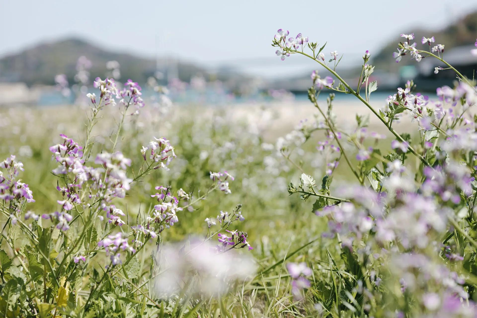 Panasonic S-E2460E Panasonic S-E2460 Lumix S Obiektyw 24–60mm F2.8 (zakres ogniskowych 24–60mm, F2.8, odporny na kurz, zachlapanie) 16 Panasonic S-E2460E lumix 2025 e2460 getinspired 2 250416