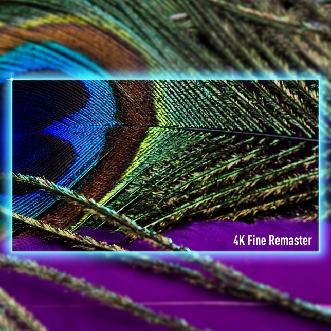 Panasonic TV-55Z90BE6 ast 2667330.jpg.pub.thumb.644.644