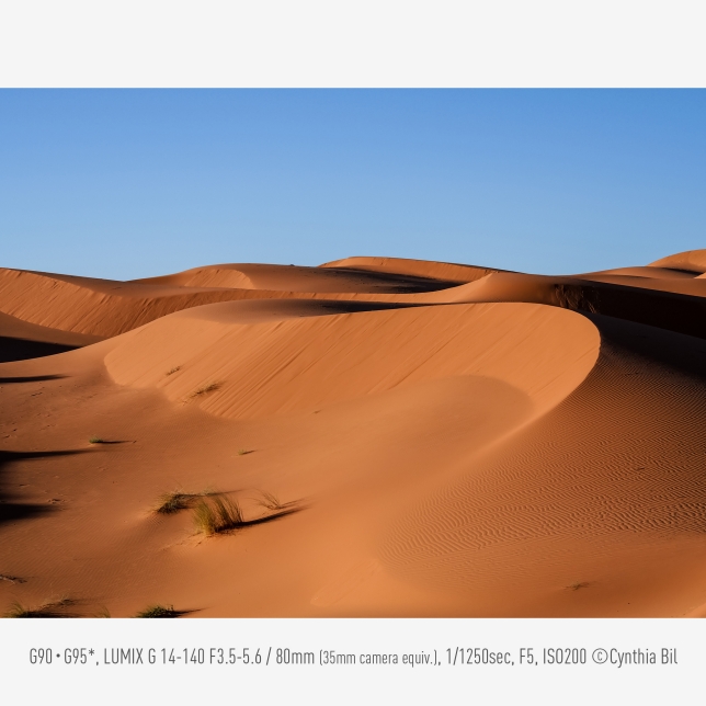 Panasonic DC-G97E 1 ast 2598174.jpg.pub .thumb .644.644