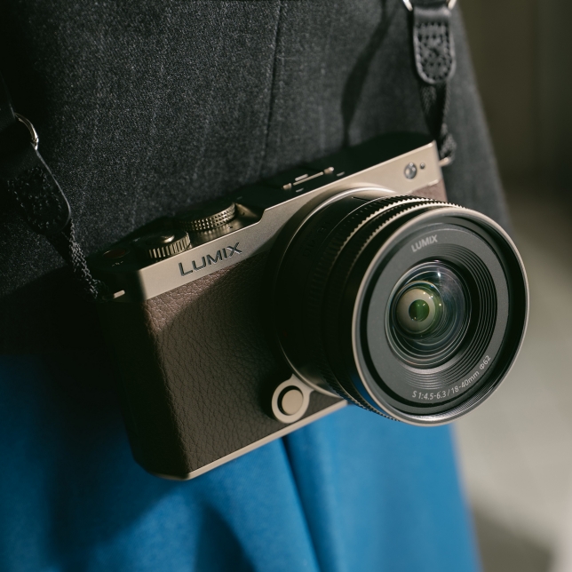 ast 2983816.jpg.pub .thumb .644.644