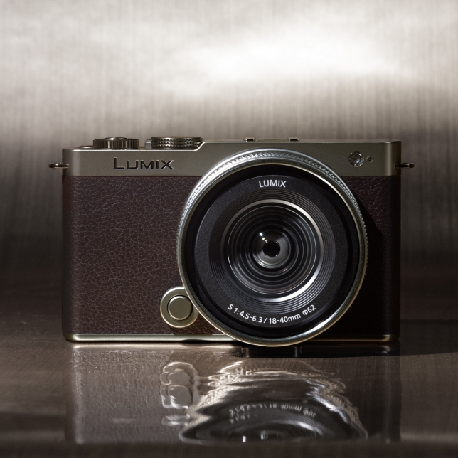 ast 2983821.jpg.pub .thumb .644.644