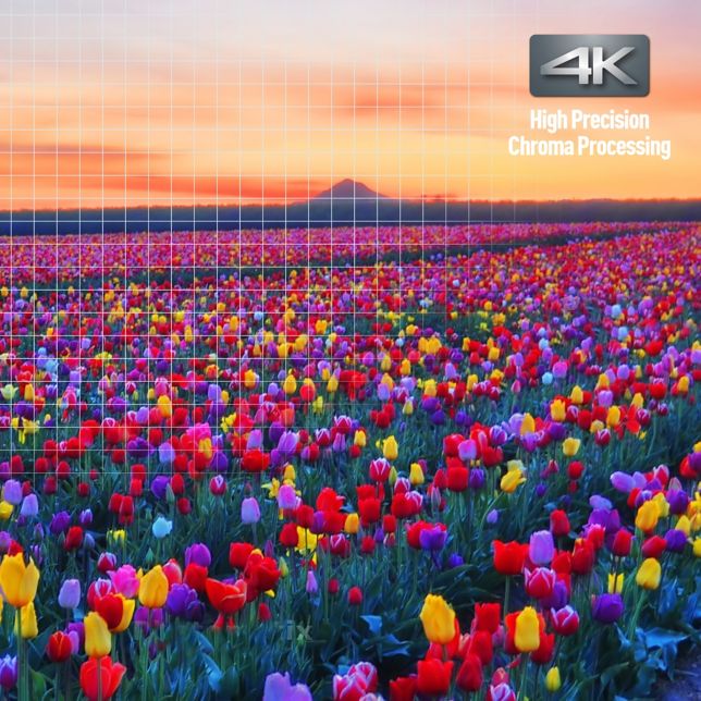 Panasonic DP-UB9000AG1 Panasonic DP-UB9000AG odtwarzacz Blu-ray Ultra HD (procesor HCX, HDR 10+, Dolby Vision, 2x HDMI, obsługa 4K, sgodność z usługami VOD 4K) 8 Oszałamiające barwy i szczegóły