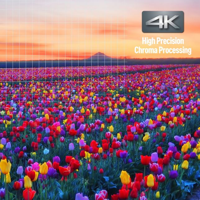 Panasonic DP-UB820AGK Panasonic DP-UB820AG odtwarzacz Blu-ray Ultra HD (procesor HCX, 4K, obsługa wielu formatów HDR, wielokanałowe wyjście analogowe dźwięku 7.1) 5 Przetwarzanie kolorów o wysokiej precyzji 4K zapewnia naturalne tekstury, bogate kolory i głębię